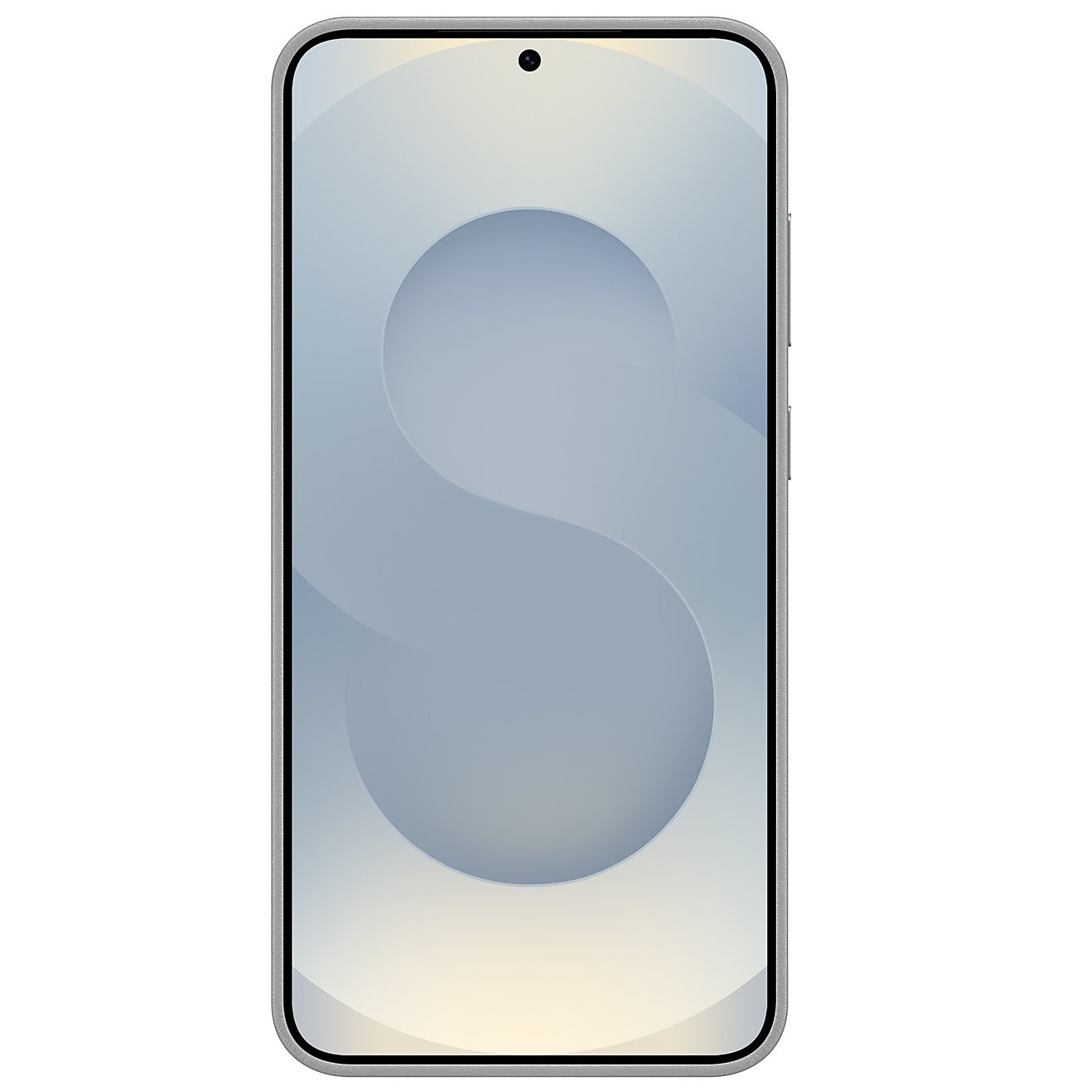 Samsung Galaxy S25 Leather Back Cover Case - Titanium