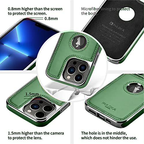 iPhone 15 Pro Max Premium Quality Luxurious Leather Case - Green