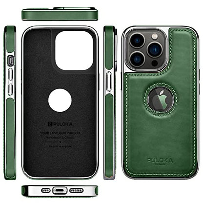 iPhone 15 Pro Max Premium Quality Luxurious Leather Case - Green